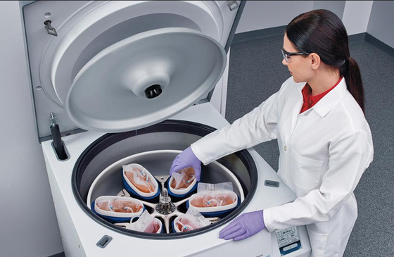 CFL6R ถุงเก็บเลือดตั้งพื้นแบบแช่เย็น Centrifuge 6×1000ml 6000rpm